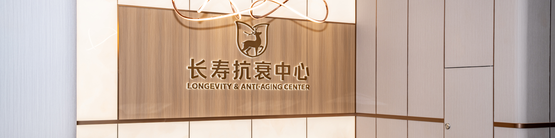 长寿抗衰-pc.jpg